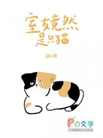 室友都是夜猫子