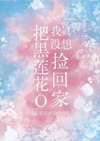 我真没想把黑莲花o捡回家百度