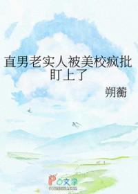 被直男大佬看上了怎么办