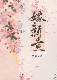 嫁新贵全文免费阅读无弹窗