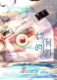 你是例外是什么意思