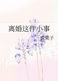 离婚这件小事免费