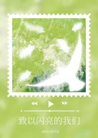 致敬闪亮的星思维导图