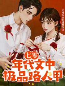 七零年代极品家庭