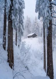 林场工作人员个人年度总结