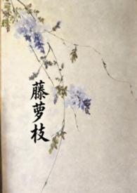 长月无烬藤萝为枝