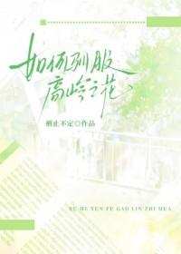 高岭之花攻略手册