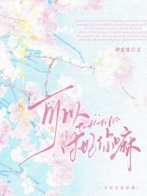 可以讨好你嘛绛花客