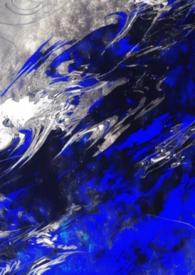 向导哨兵言情文