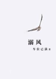 溺风by不灵塔全文免费阅读